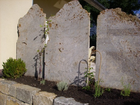 rot_juli2010 (6).JPG